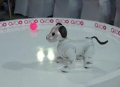 Các 'nhà khoa học nhí' tranh tài sáng tạo với công nghệ MESH ảnh 3 Nhiều công nghệ hướng đến tương lai xuất hiện tại Sony Show