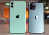Lỗ hổng NSACrypt đe dọa 2,7 triệu máy tính tại Việt Nam ảnh 5 Cách tải và cập nhật iOS 13.3.1 Public Beta 2 cho iPhone