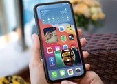 Mất bao lâu để cập nhật iPhone lên iOS 14? ảnh 4 Cách bật chế độ Picture in Picture của YouTube trên iOS 14