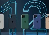 Cần làm gì khi tính năng Back Tap trên iPhone không hoạt động? ảnh 7 Người dùng phàn nàn vì iPhone 12 Pro hao pin bất thường