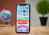 3 mẫu iPhone đáng mua nhất giá dưới 6 triệu đồng ảnh 1 iPhone 11 giá chỉ còn 13,7 triệu đồng