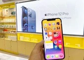 Cuộc thi tìm kiếm tài năng tham gia kiến tạo xã hội số ảnh 2 iPhone 12 series giá chỉ từ 13,5 triệu đồng