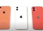 Apple, Google và Samsung nói gì về việc sạc điện thoại qua đêm ảnh 1 iPhone 11 và iPhone 12 giảm hiệu suất khi cài đặt iOS 14.5.1?