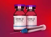 Việt Nam thiệt hại hơn 23,9 ngàn tỉ đồng do virus máy tính ảnh 3 Mất tiền oan uổng vì chiêu lừa chích vắc xin COVID-19 miễn phí
