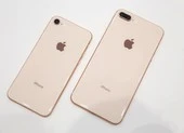 iPhone 7 Plus giá chỉ còn 5,49 triệu đồng ảnh 1 iPhone 8 Plus 64 GB giá chỉ còn 6,79 triệu đồng