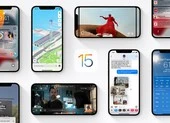 Ai đang dẫn đầu thị trường thiết bị đeo tay tại Việt Nam? ảnh 1 Người dùng nên cài đặt iOS 15 beta 8 ngay lập tức
