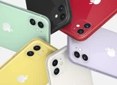 55% người dùng quan tâm đến iPhone 13 Pro Max ảnh 1 iPhone 11 chính hãng giảm chỉ còn 13,9 triệu đồng