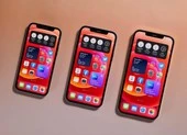 Vì sao iPhone là ‘gà đẻ trứng vàng’ của các nhà bán lẻ? ảnh 4 Công ty công nghệ này có giá trị cao hơn Disney, Nike, IBM… cộng lại