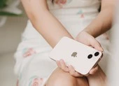 Thả rơi iPhone 13 Pro Max và Galaxy S22 Ultra, ai chiến thắng? ảnh 2 Nhiều mẫu iPhone giảm giá chỉ còn 6,4 triệu đồng cuối tháng 3