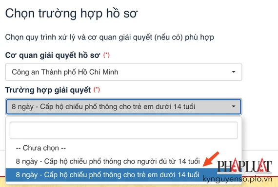 Lựa chọn trường hợp cấp hộ chiếu phổ thông cho trẻ em dưới 14 tuổi. Ảnh: MINH HOÀNG Lựa chọn trường hợp cấp hộ chiếu phổ thông cho trẻ em dưới 14 tuổi. Ảnh: MINH HOÀNG
