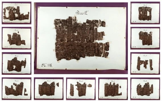 12 mảnh màu nâu của cuộn giấy cổ đã mở được gọi là P.Herc.118. Ảnh: ĐH Oxford 12 mảnh màu nâu của cuộn giấy cổ đã mở được gọi là P.Herc.118. Ảnh: ĐH Oxford