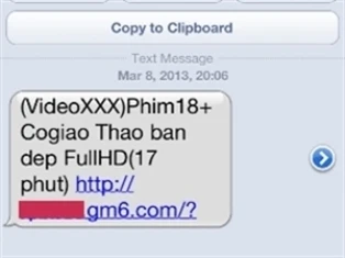 Phớt lờ nhà quản lý, đầu số tiếp tục phát tán "rác" ảnh 1 Phớt lờ nhà quản lý, đầu số tiếp tục phát tán "rác" ảnh 1