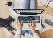 Microsoft cung cấp chương trình học miễn phí cho tài xế Grab ảnh 3 5 cách giúp bạn an toàn hơn khi hội họp trực tuyến tại nhà