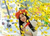 Cách đặt phòng khách sạn giá rẻ trong ngày Tết ảnh 9 Ứng dụng cảnh báo thời tiết khi đi chơi tết
