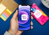 Cách cài đặt iOS 15 Public Beta trên iPhone ảnh 1 Cách khôi phục tài khoản Apple ID khi lỡ quên mật khẩu