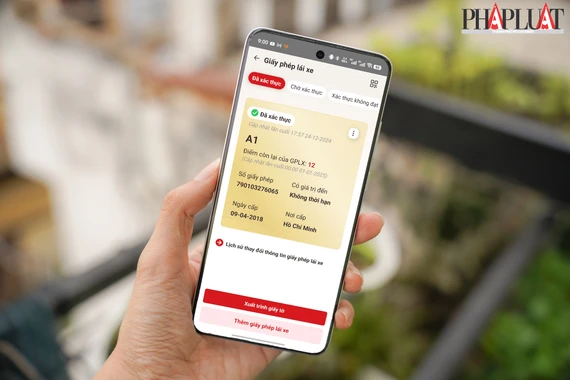 Mỗi người sẽ có 12 điểm GPLX, hiển thị trên ứng dụng VNeID. Ảnh: MINH HOÀNG Mỗi người sẽ có 12 điểm GPLX, hiển thị trên ứng dụng VNeID. Ảnh: MINH HOÀNG