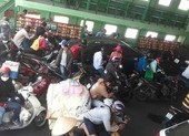 Duy trì hoạt động của phà Cát Lái cho đến khi có chỉ đạo mới
