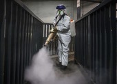 COVID-19 Mỹ: 21 ca chết 534 ca nhiễm, ông Trump lên tiếng