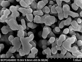 Phân tử nano bạc dưới kính hiển vi Phân tử nano bạc dưới kính hiển vi