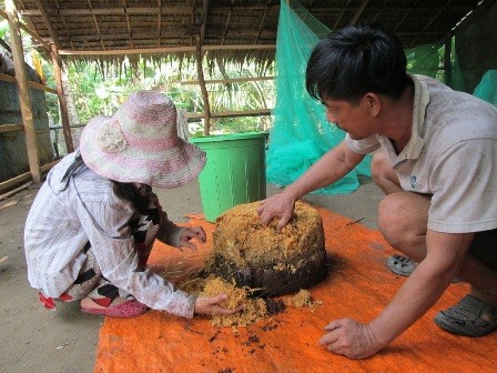 Anh Phúc vừa hạ một cây dừa vì đã bị héo đọt do đuông tấn công