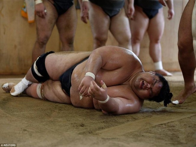 Sự thật ít biết về cuộc sống của võ sĩ sumo