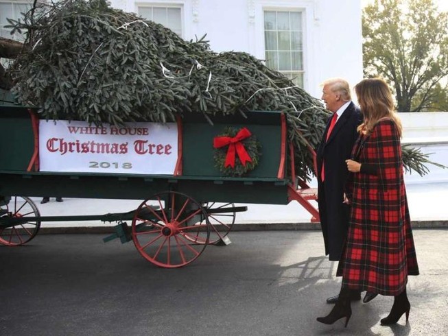 Lần đầu tiên ông Trump đón cây thông Giáng sinh cùng phu nhân