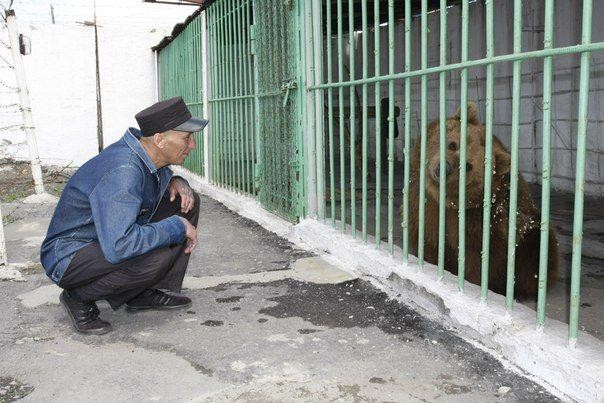 Lạ lùng gấu bị tù chung thân ở đảo tù nghiêm ngặt