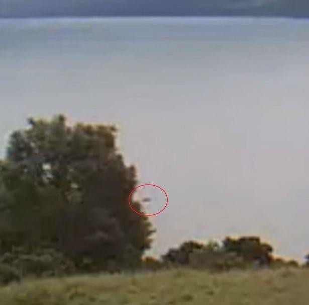 Lại có thêm người phát hiện quái vật hồ Loch Ness