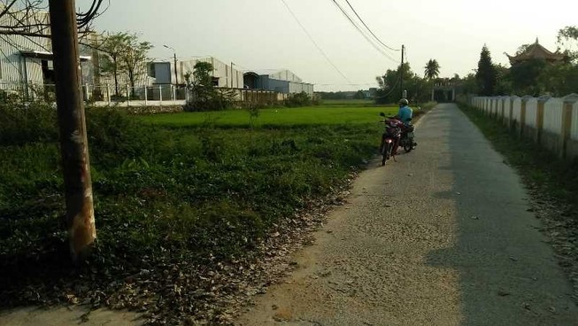 Cảnh báo khẩn việc giá đất nông thôn bị 'làm loạn'