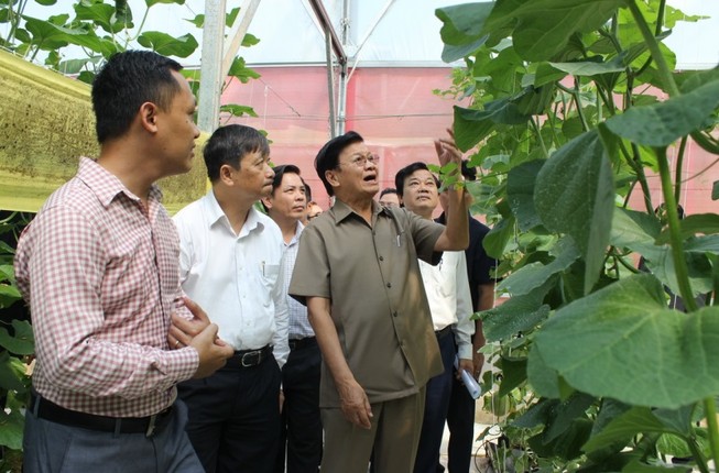 Thủ tướng Lào ấn tượng với mô hình trồng rau sạch tại Đà Nẵng