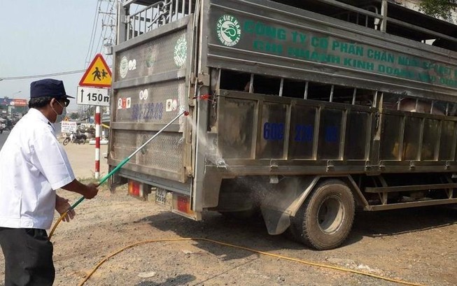 Đồng Nai: Công bố xuất hiện dịch tả heo châu Phi là 'ẩu'