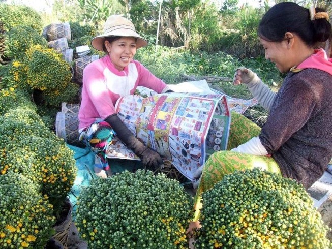 Đồng Tháp sẽ đánh giá năng lực cạnh tranh sở, ngành