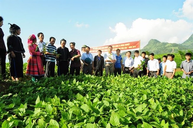 Chính sách khuyến khích đầu tư vào nông nghiệp, nông thôn