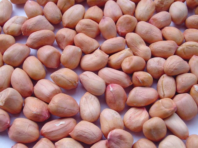 Chăm sóc chế độ ăn cho người già thế nào?