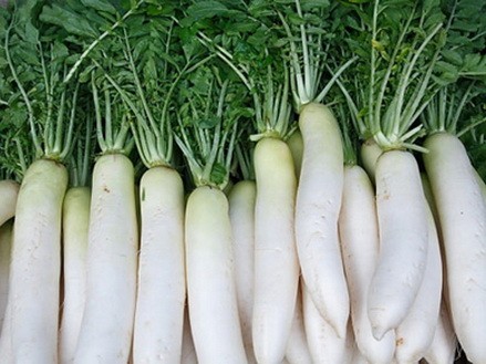 Tác dụng của củ cải trắng