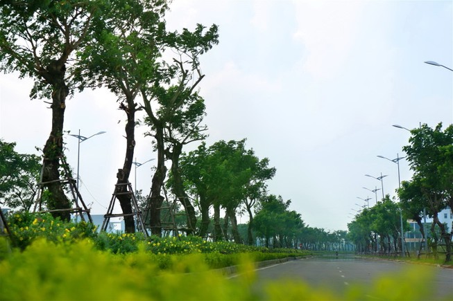 Khu đô thị sinh thái Hòa Xuân: Giá mềm, tiện nghi