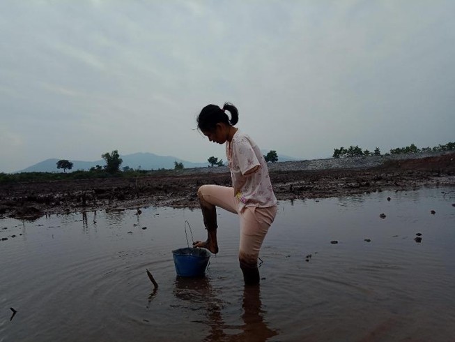 Câu chuyện có hậu của người phụ nữ ‘chim cánh cụt’