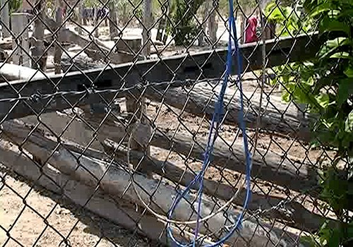Dây điện dính hàng rào làm bé gái 13 tuổi tử vong