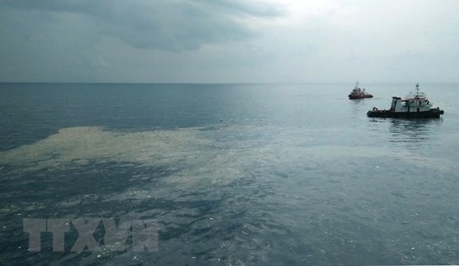 Rơi máy bay ở Indonesia: Không có hành khách người Việt Nam