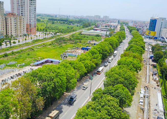 Hà Nội: Bất khả kháng mới chặt cây đường Phạm Văn Đồng