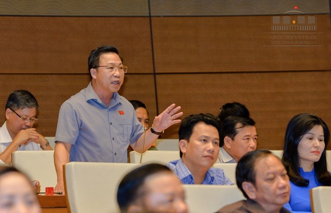 ĐBQH vạch 3 yếu kém của Thanh tra Chính phủ