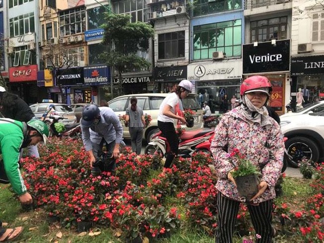 Sẽ truy vụ người dân 'hôi hoa' trang trí trên phố Kim Mã