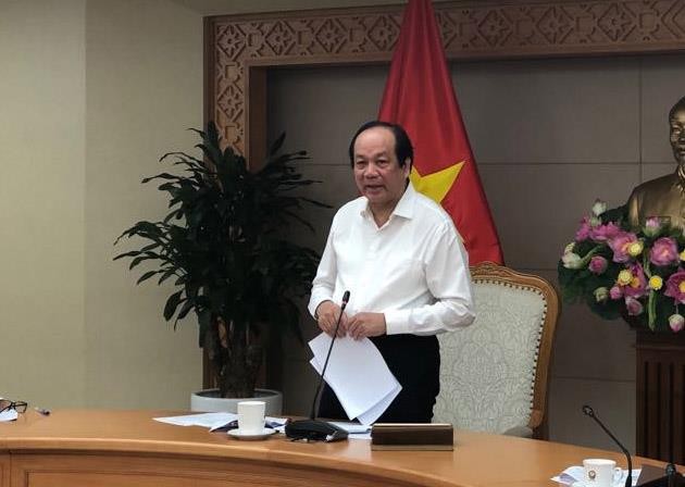 Sẽ cấp đổi bằng lái xe trực tuyến vào tháng 11-2019