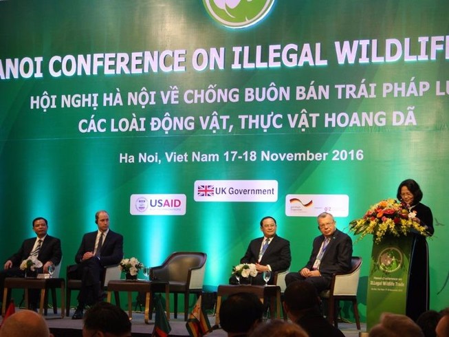 Nếu không quyết liệt, tương lai không còn voi, tê giác