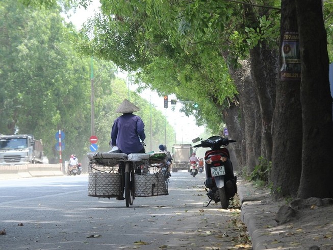Chặt 1.300 cây trên đường Phạm Văn Đồng để mở đường