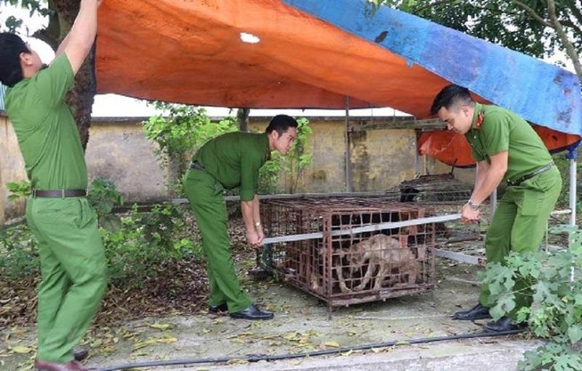Thông tin mới vụ bé trai 7 tuổi bị đàn chó cắn tử vong