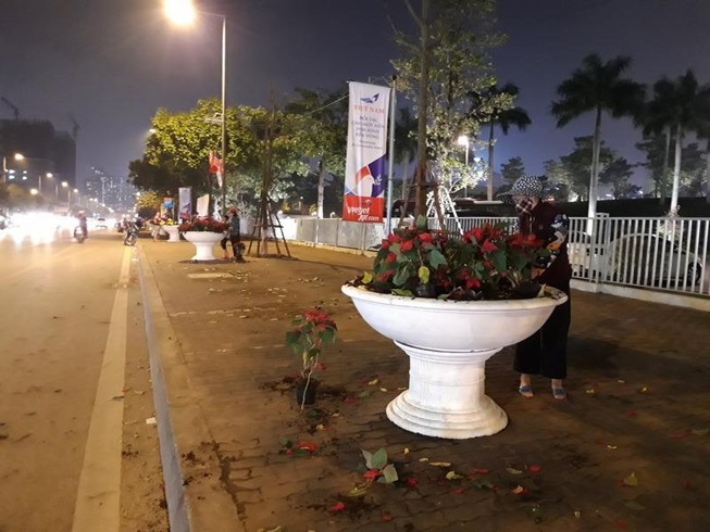 Cướp hoa sau hội nghị thượng đỉnh, xử lý sao?