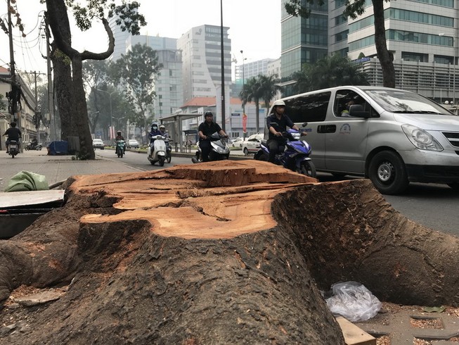 Một sự đánh đổi nghiệt ngã cho phát triển...