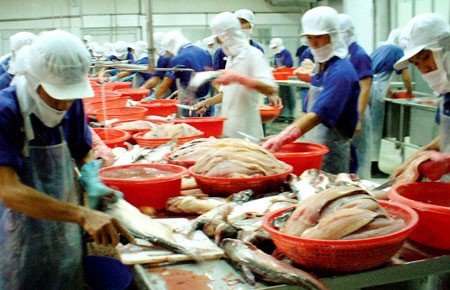 Cá tra lại gặp “hạn” vì luật mới của Mỹ