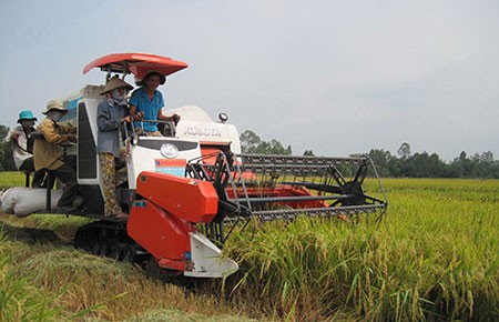 Thái Lan không thể bán tháo gạo
